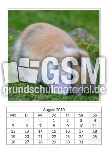August_Kaninchen_2.pdf